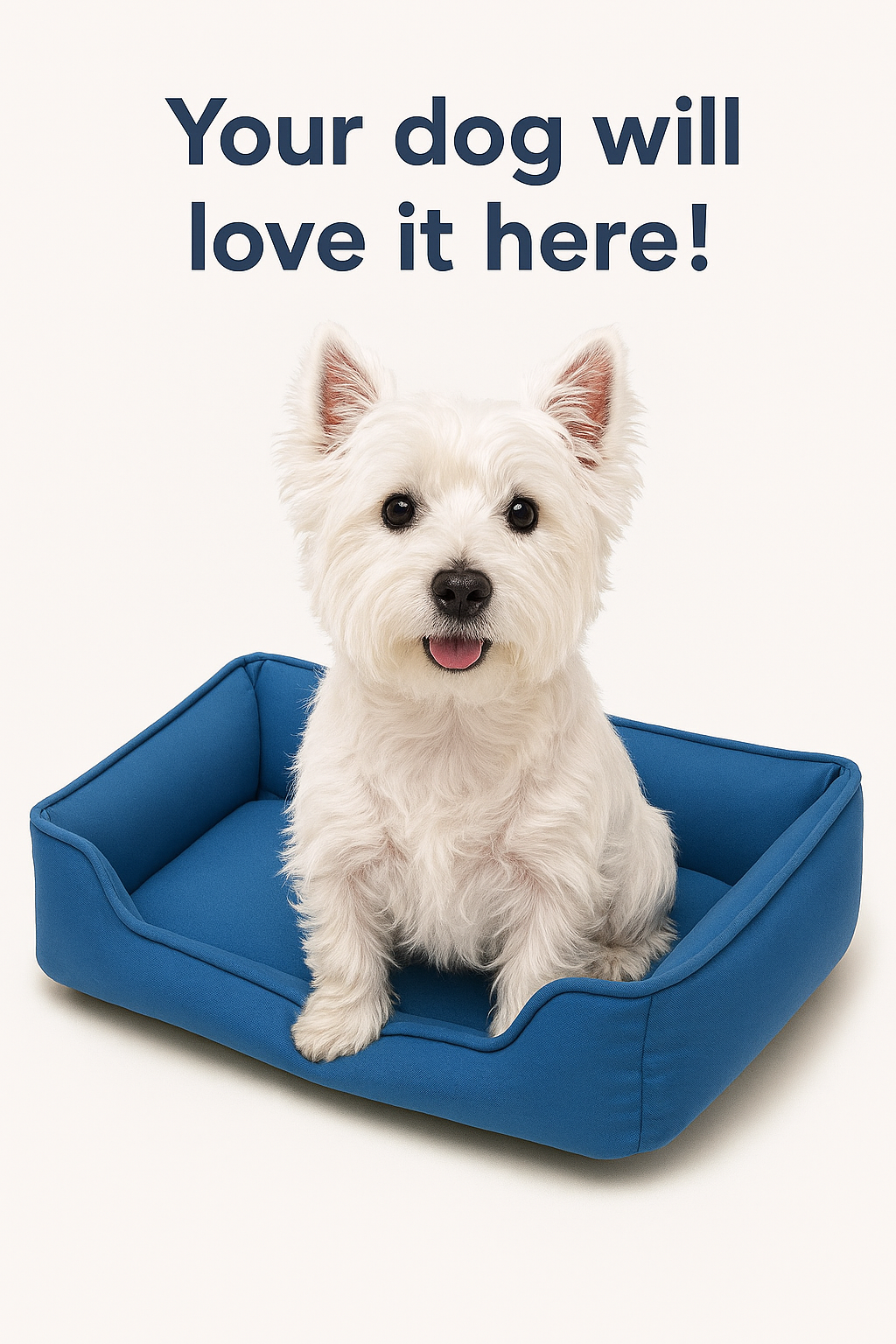 Maggie's Pup Lounge