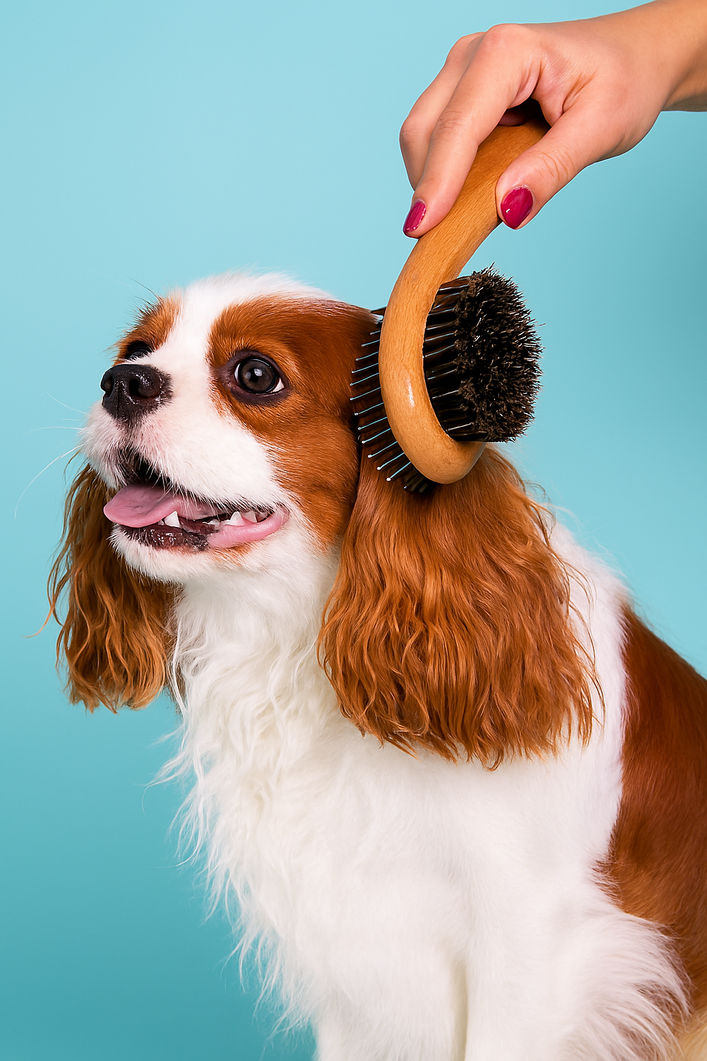 PupPerfect Brush